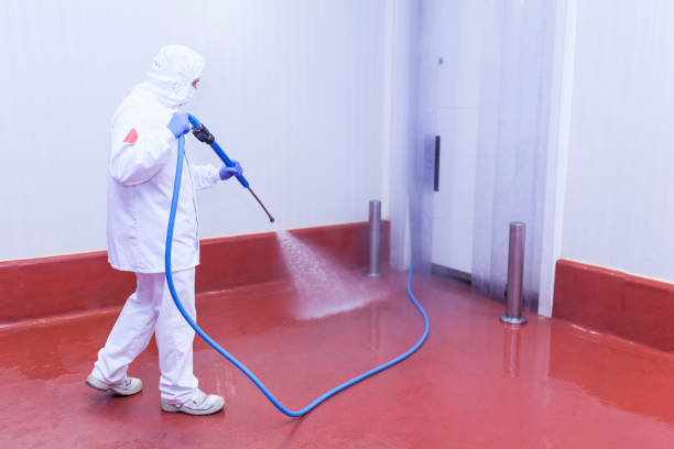 Best Paint Preparation  in Overton, TX